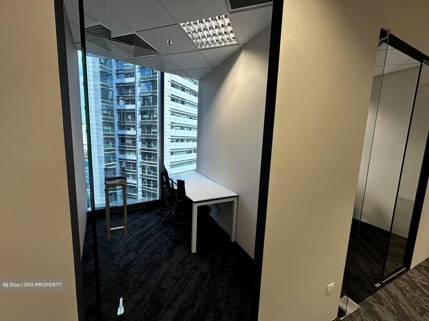 PLUS (D1), Office #556235811